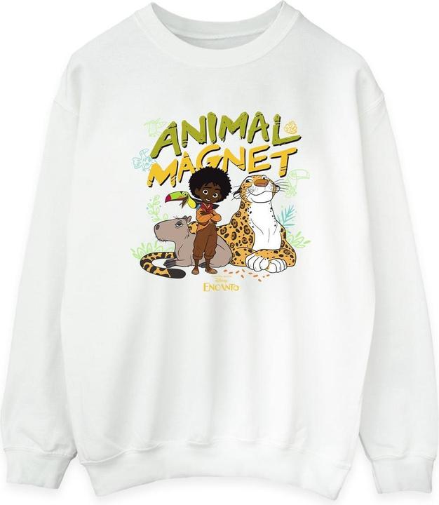 Produktbild Disney Encanto Animal Magnet Sweatshirt (S)