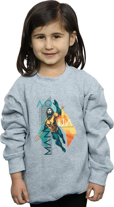 Actual product image Girls Aquaman Tropical Icon Sweatshirt (140, 146)