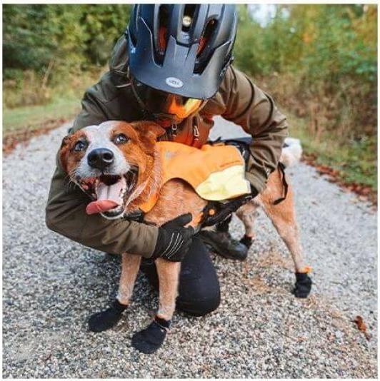Actual product image Non-Stop Dogwear Protector Booties (XL, Dog boots)
