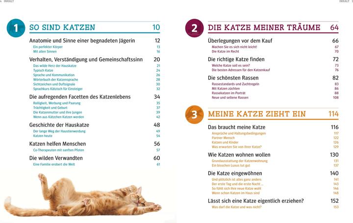 Actual product image Katzen (German, Gerd Ludwig, 2013)