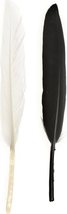 Produktbild Glorex Indianerfeder 13cm ca.15St schwarz/weiss
