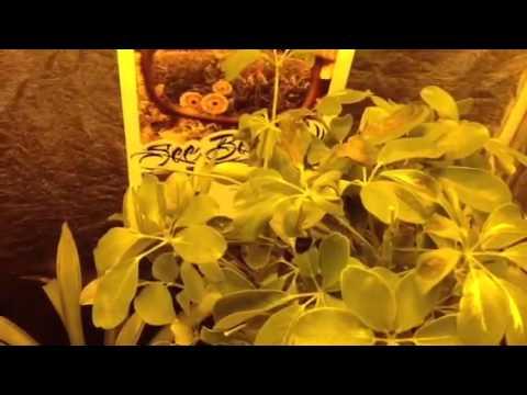 Produktbild Method Seven Schutzbrille Operator LED PLUS