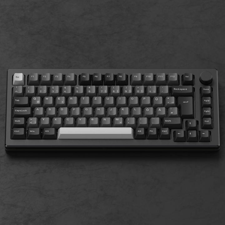 Actual product image Akko MOD 007B HE (DE, Wireless, Cable)