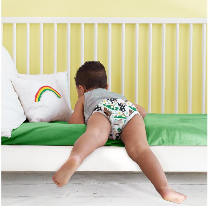 Image du produit Bambino Mio Culottes d'apprentissage de la propreté (Taille 6, 1 pièce(s))