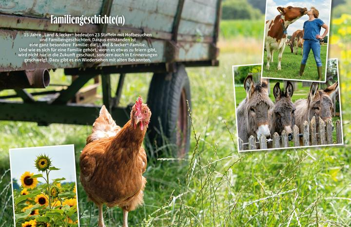 Actual product image Land & lecker Band 7 (German, The Countrywomen, 2024)