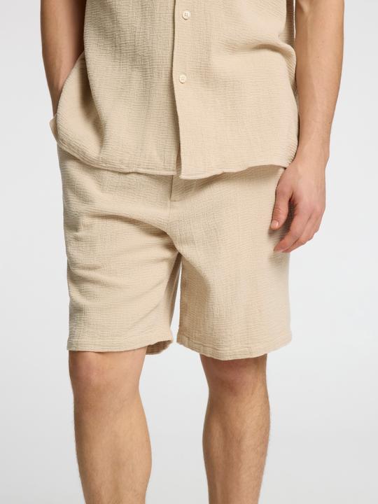 Actual product image Selected Homme Gestreifte Shorts (M)
