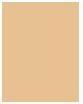 Immagine prodotto Bourjois 123 Perfetto (52 Vaniglia)