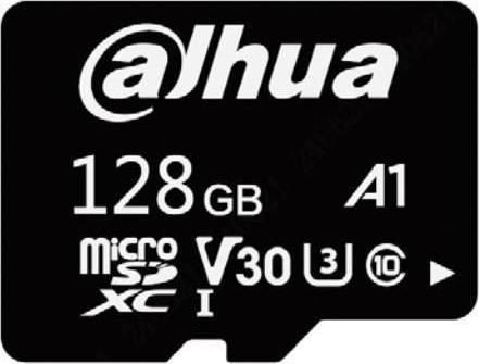 Actual product image Dahua Card TF-L100 SDXC 128 GB Class 10 (TF-L100-128GB) (128 GB, SDXC)