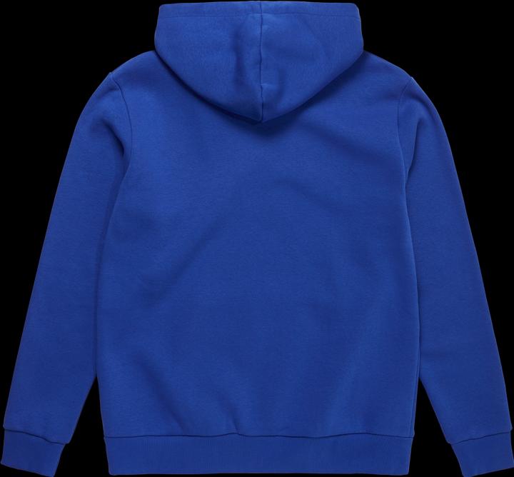 Actual product image Mystic Icon Hood Sweat (L)