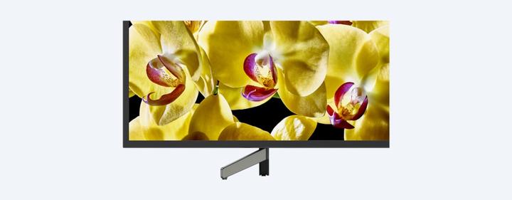 Immagine prodotto Sony KD55XG8096 (55", LCD, 4K, 2019)