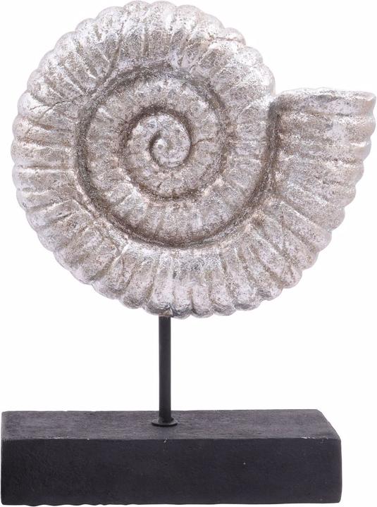 Actual product image Exner Garten und Wohnaccessoires Ammonite Hilda (29 x 10 x 38.5 cm)