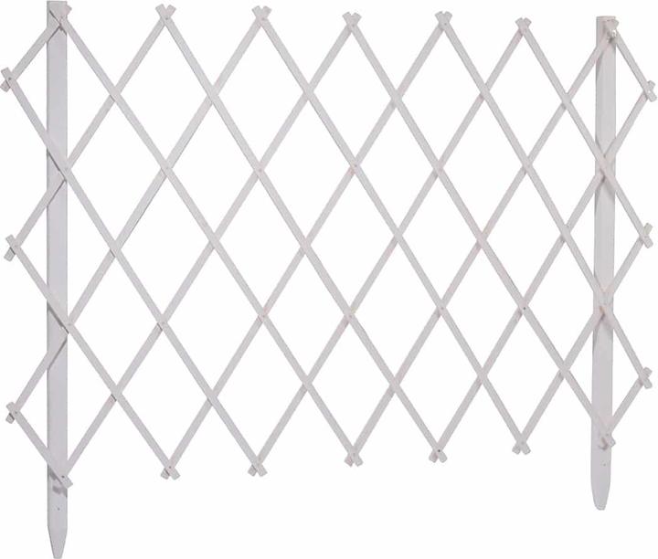 Image du produit Dobar Rankgitter (160 cm, 35 cm)