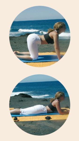 Image du produit Yoga pour débutants (DVD, 2003, Allemand)