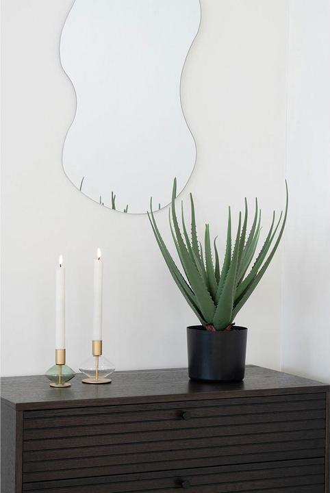 Immagine prodotto House Nordic Aloe (51 cm)