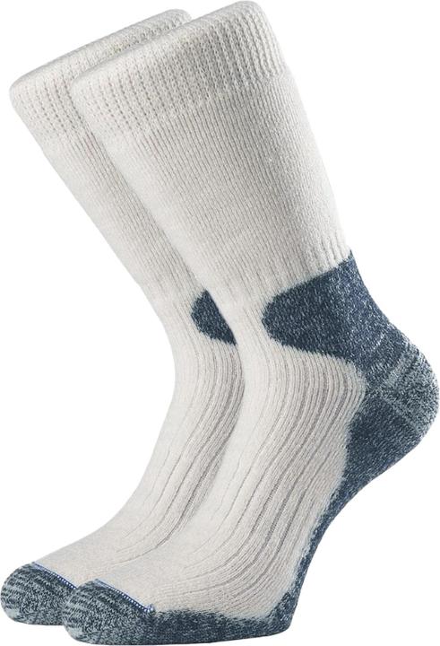 Actual product image 1000 Mile Socks Light Cricket (L)