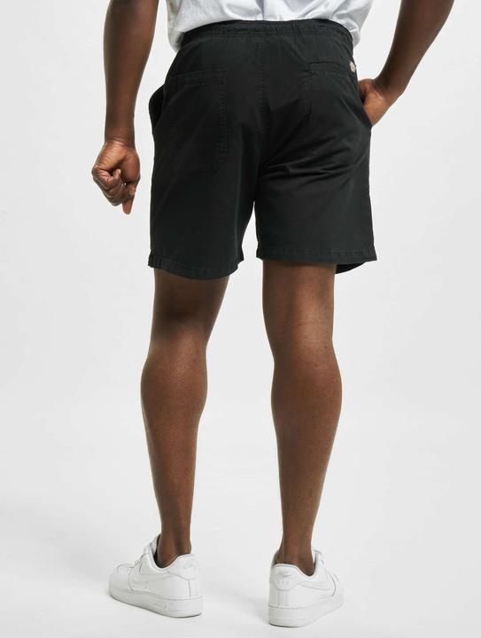Image du produit Dickies Pelican Rapids Short en tissu - 91859 (XL)