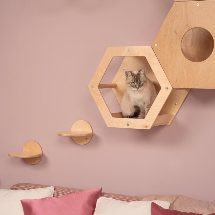 Image du produit Wowhelperco Aire de jeux murale pour chats 8 pièces (Nature)