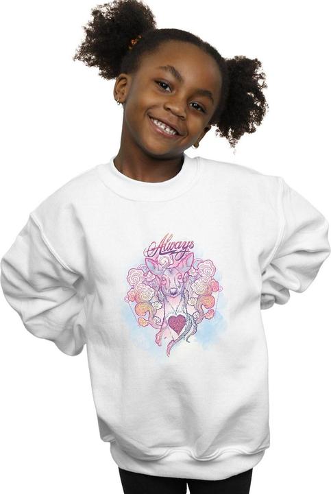 Image du produit - Sweat ALWAYS DOE - Fille (128)