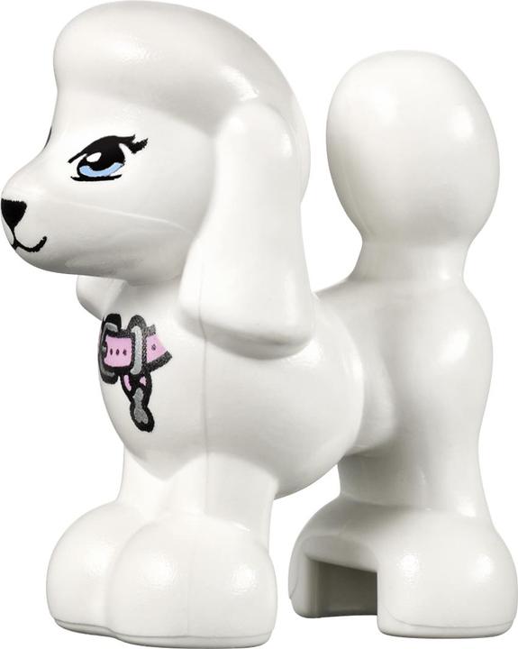 Actual product image LEGO Friends Heartlake Grand Hotel (41101, LEGO Friends)