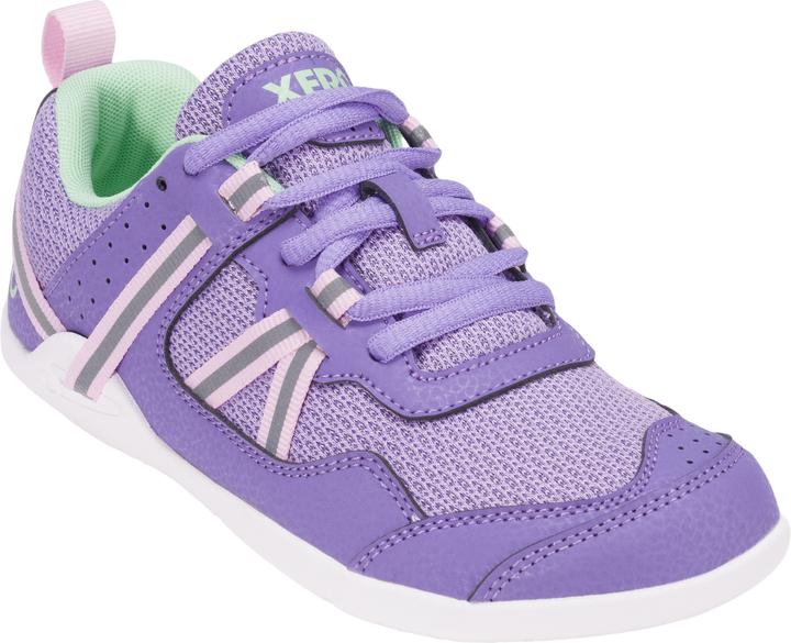 Pink, Lilac