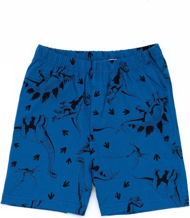 Produktbild Jurassic World Schlafanzug mit Shorts Jungen (122)