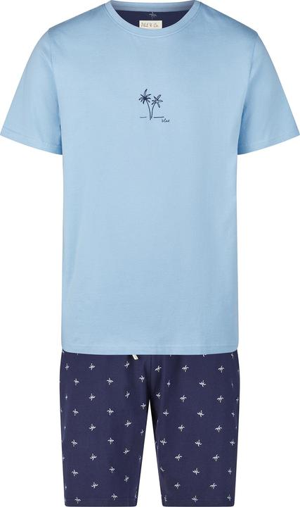 hellblau-navy
