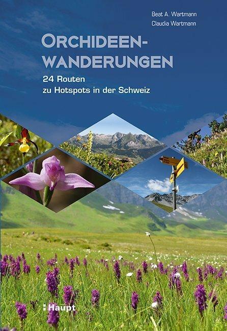 Produktbild Orchideenwanderungen (Deutsch, Claudia Wartmann, Beat A. Wartmann, 2018)