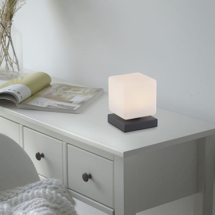 Image du produit Paul Neuhaus Dadoa (580 lm)