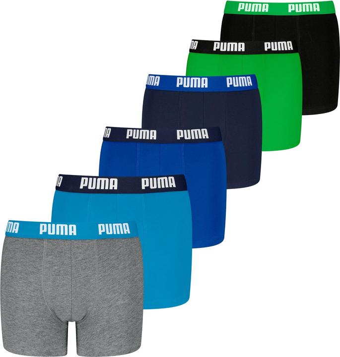Puma Everyday Basic Boxers ECOM 6P