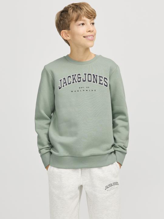 Immagine prodotto Jack & Jones Jjecaleb Varsity Sweat Crew Neck Sn Jnr (176)