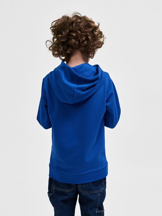 Actual product image hummel hmlCUATRO HOODIE (152)