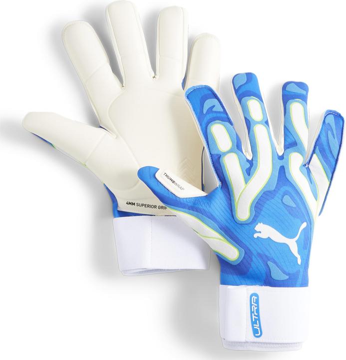 Blue / White