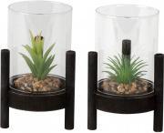 Produktbild IKO Glas mit künstlichem Kaktus (Ø 10 x 15 cm)