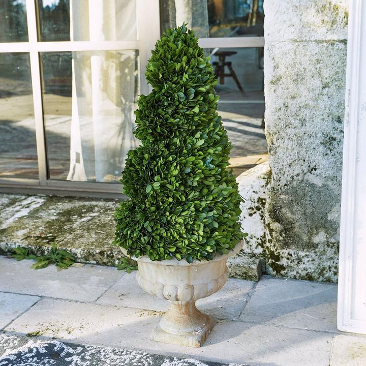 Produktbild Loberon Deko-Baum Humbria grün/creme (75 cm)