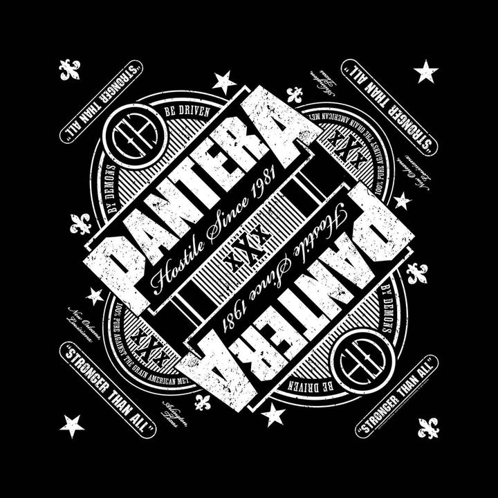 Produktbild Pantera Stronger Than All Bandana