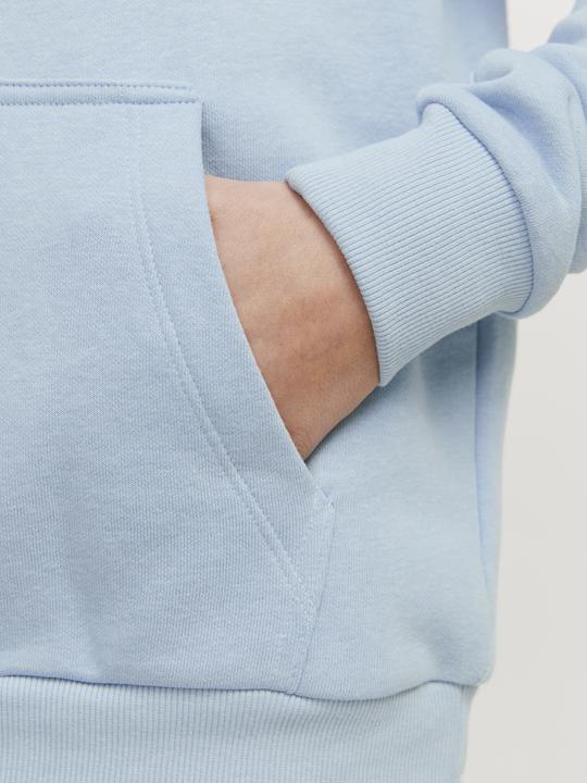 Produktbild Jack & Jones Jjecaleb Varsity Sweat Hood Noos Jnr (164)