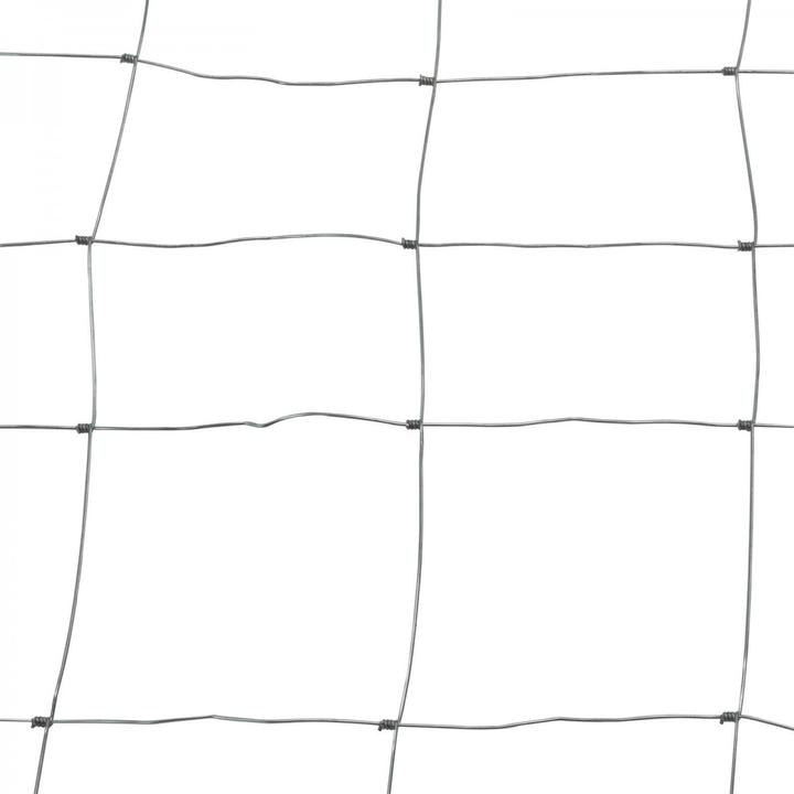 Image du produit Dema Treillis à noeuds / Clôture 0,8x50m