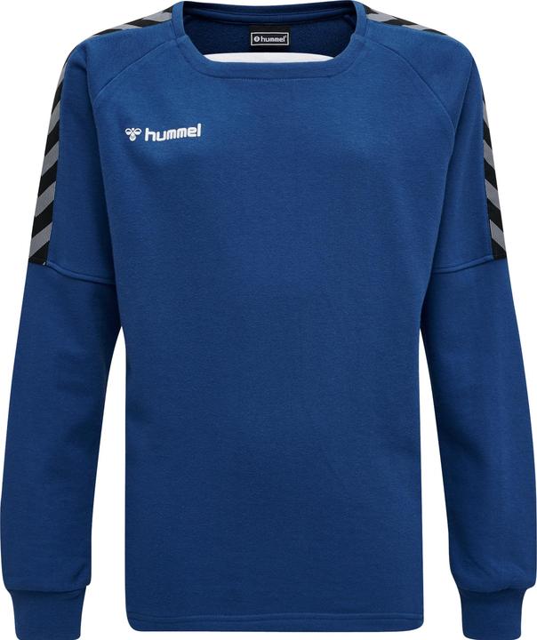 Produktbild hummel Authentic Kids Training Sweat (152)
