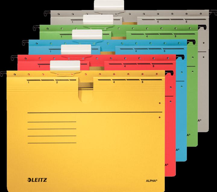 Actual product image Leitz Hanging file alpha (A4, 1 x)