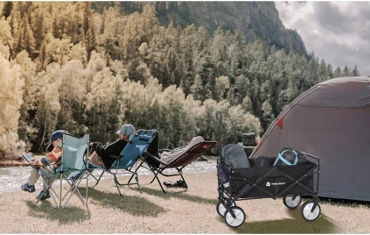 Immagine prodotto Toolcraft Handwagen (80 kg)
