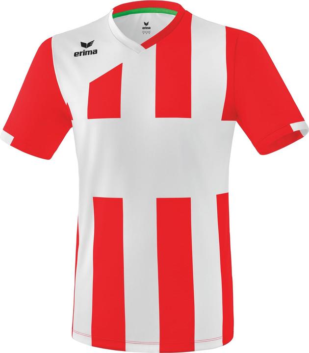 Erima Siena 3.0 jersey