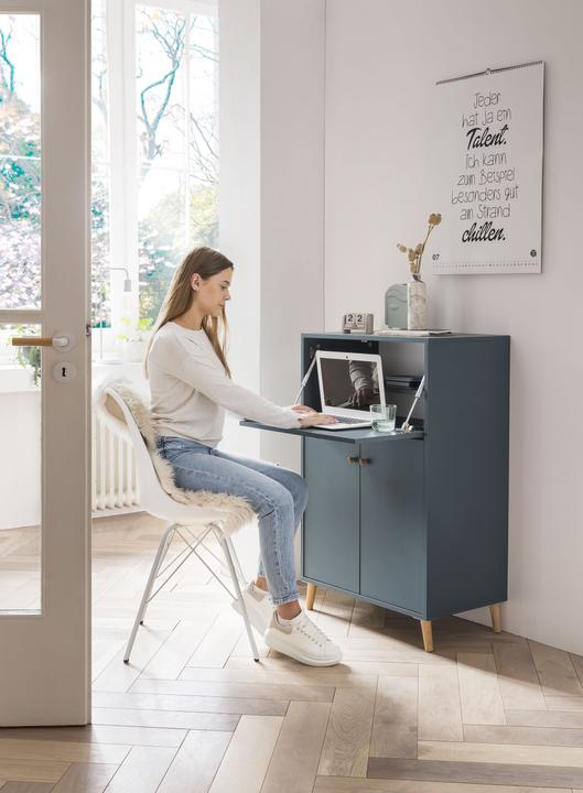 Actual product image Schildmeyer Series 500 (65.5 x 39 x 102 cm)