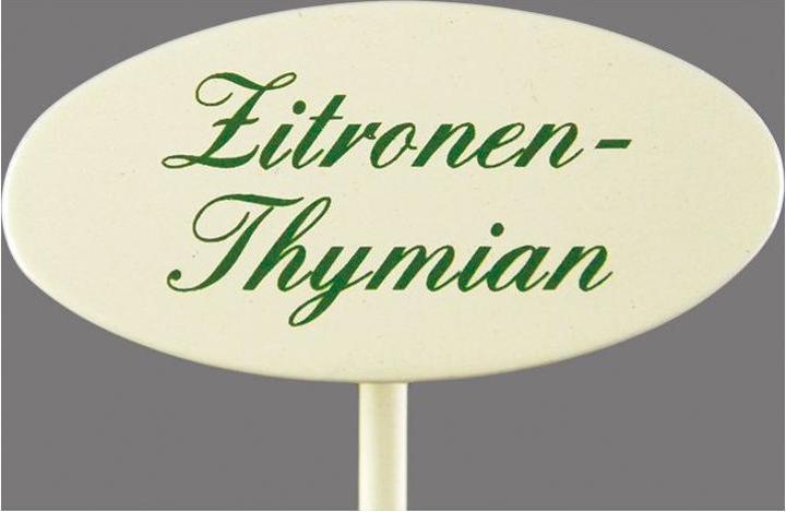 Actual product image Münder Spice plug lemon thyme (20 cm, 2.40 cm)