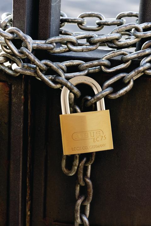 Actual product image Abus Cylinder padlock 75/50 gl.-7561 Lock body-w.50mm MS gl.