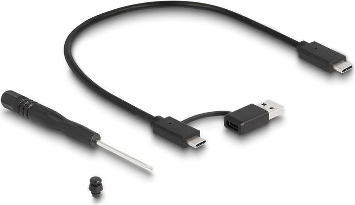 Image du produit Delock Boîtier de jeu externe pour M.2 N (M.2 2260, M.2 2242, M.2 2280)