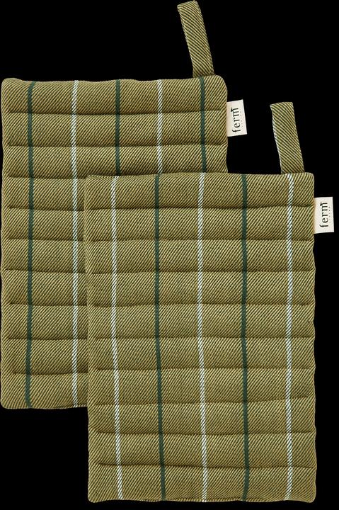 Alga