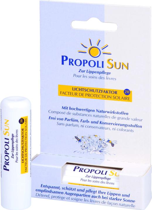 Immagine prodotto Remmele Balsam Stift SF20 (Cura matita)