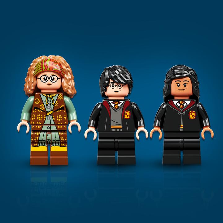 Actual product image LEGO Hogwarts Moment: Divination Lesson (76396, LEGO Harry Potter)