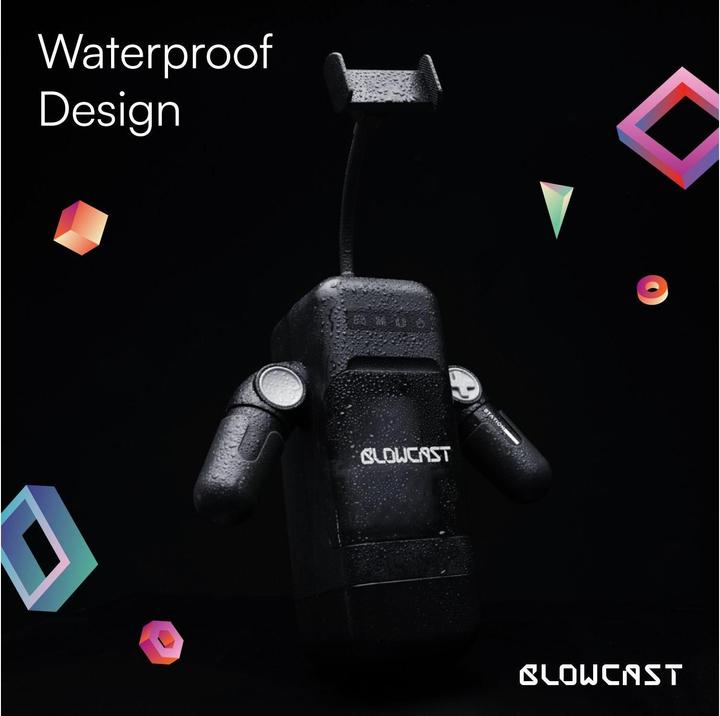 Actual product image Blowcast Blowbot