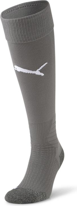 Actual product image Puma Team LIGA Socks-703438 (39 - 42)